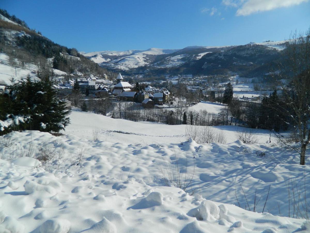 Logis Hotel L'Elanceze Thiezac Екстер'єр фото