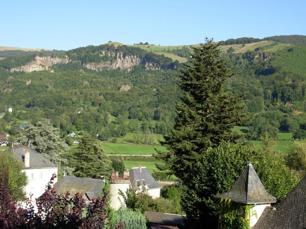 Logis Hotel L'Elanceze Thiezac Екстер'єр фото